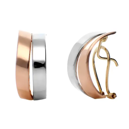 [7710] Pendientes Omega Bicolor