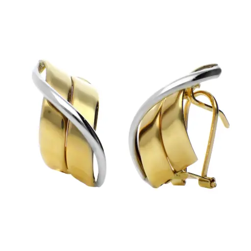 [8333] Pendientes Omega Bicolor